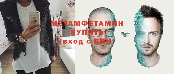 шишки Бородино
