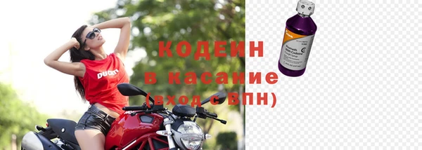 шишки Бородино