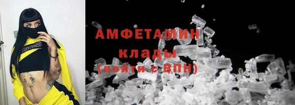 шишки Бородино