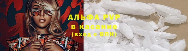 ПСИЛОЦИБИНОВЫЕ ГРИБЫ Верхний Тагил