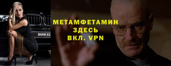 шишки Бородино