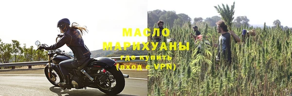 шишки Бородино