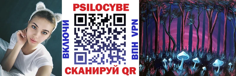 Псилоцибиновые грибы MAGIC MUSHROOMS  mega маркетплейс  Сретенск 